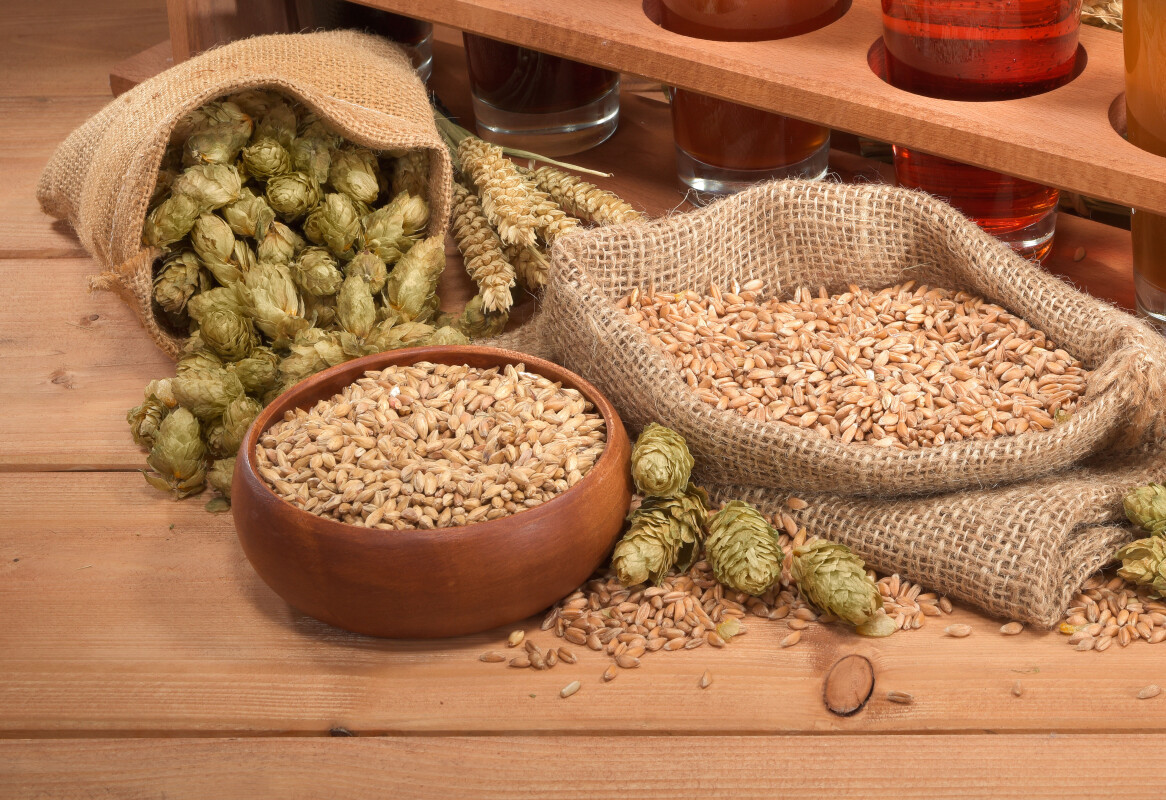 Ingredienten voor bier Ingredienten voor bier